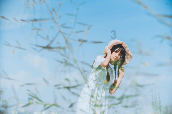 《安家》：瓜哥喜欢“985”？徐文昌送房似锦玫瑰花，王自健最逗